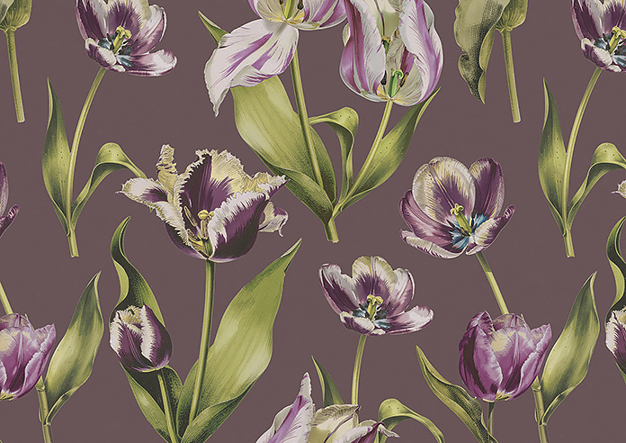 Carries, Scuffs - Roman Blind - Image 7